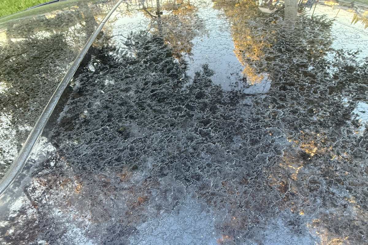 water spots on black car paint - Auto Detail Nation